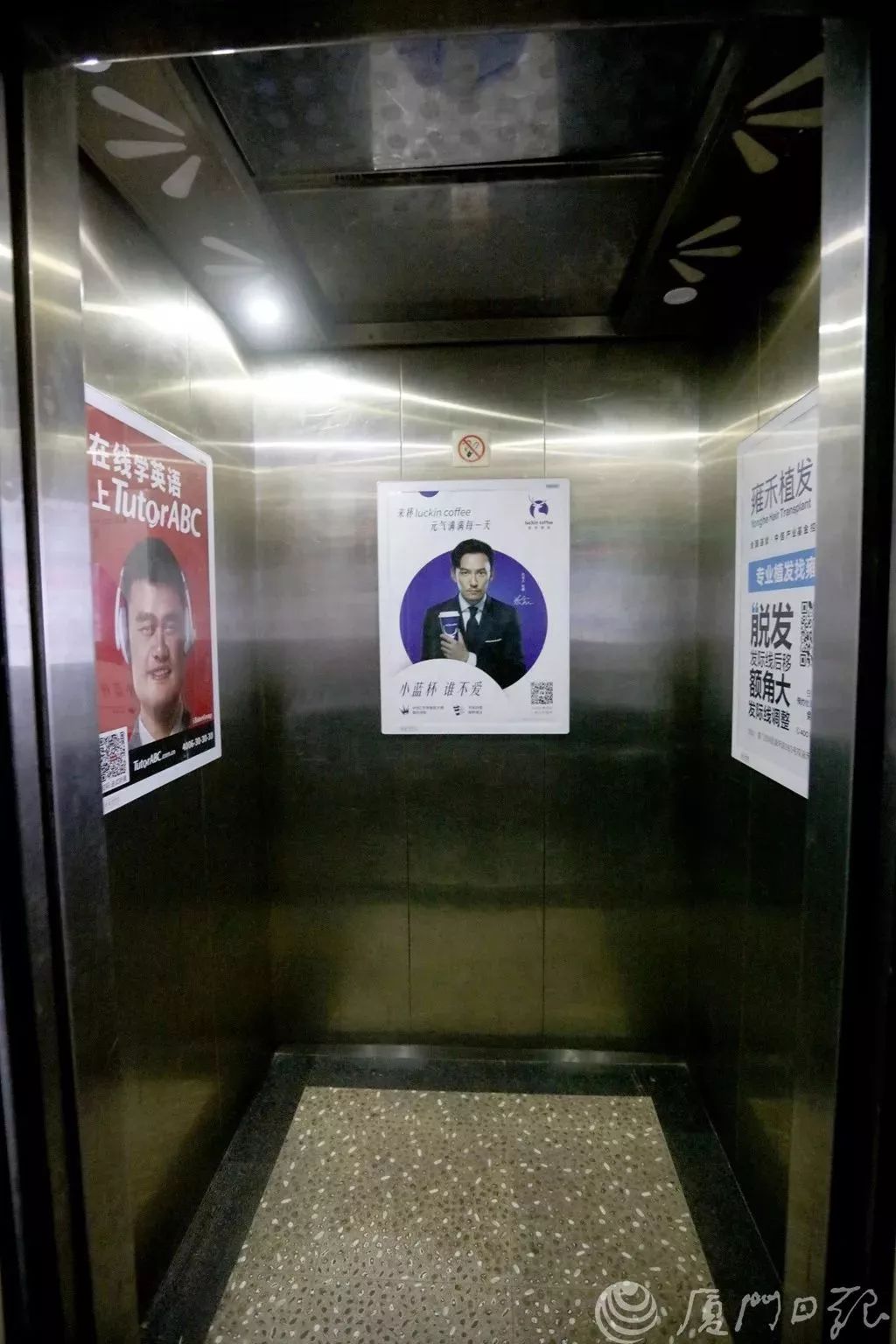 電梯廣告亂象 從便民到擾民，公益幌子下的視覺污染